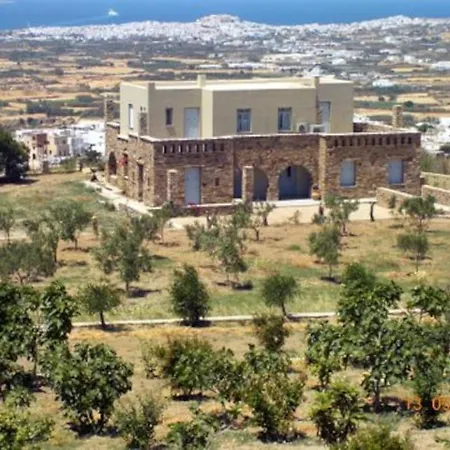 Aetheras House - Aegean Views & Olive Grove Villa Galanado