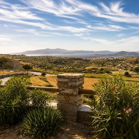 Aetheras House - Aegean Views & Olive Grove Villa Galanado